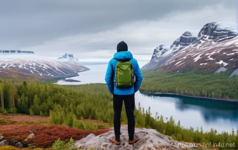 핀란드 워킹 홀리데이 후기 - **Prompt: "A young, hopeful person of South Asian descent, dressed in warm, casual travel attire, st...